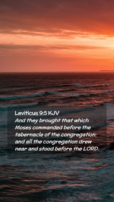 Picture 02 - Leviticus 9:5 KJV Mobile Phone Wallpaper - And they brought that which Moses commanded - Mobile Bible Verse Wallpaper