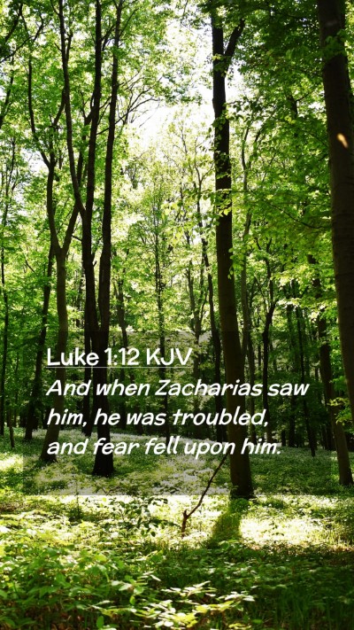Picture 02 - Luke 1:12 KJV Mobile Phone Wallpaper - And when Zacharias saw him, he was troubled, and - Mobile Bible Verse Wallpaper