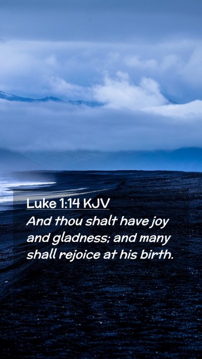 Picture 02 - Luke 1:14 KJV Mobile Phone Wallpaper - And thou shalt have joy and gladness; and many - Mobile Bible Verse Wallpaper