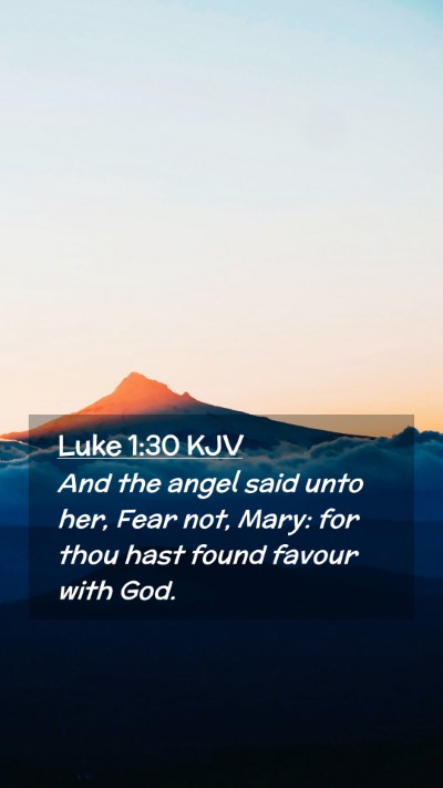 Picture 02 - Luke 1:30 KJV Mobile Phone Wallpaper - And the angel said unto her, Fear not, Mary: for - Mobile Bible Verse Wallpaper