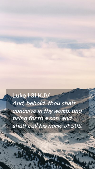 Picture 02 - Luke 1:31 KJV Mobile Phone Wallpaper - And, behold, thou shalt conceive in thy womb, and - Mobile Bible Verse Wallpaper