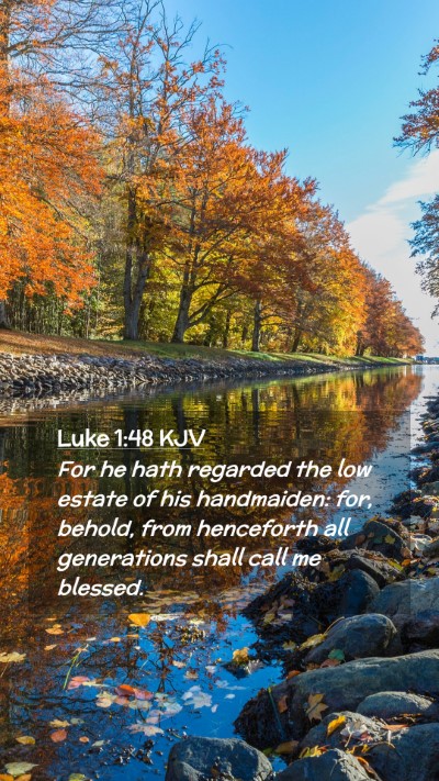 Picture 02 - Luke 1:48 KJV Mobile Phone Wallpaper - For he hath regarded the low estate of his - Mobile Bible Verse Wallpaper