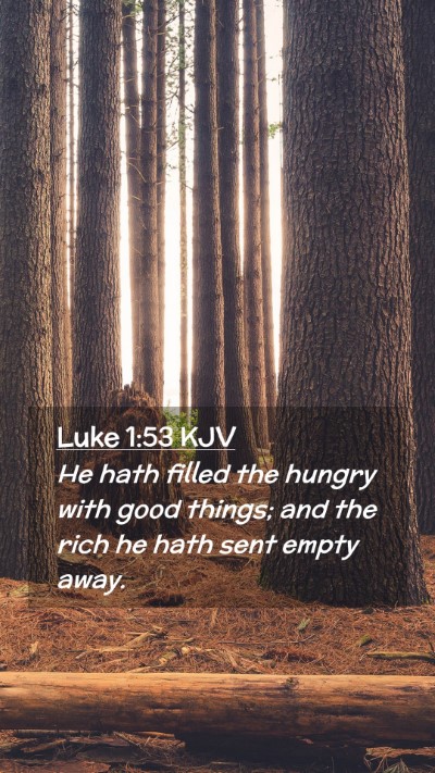 Picture 02 - Luke 1:53 KJV Mobile Phone Wallpaper - He hath filled the hungry with good things; and - Mobile Bible Verse Wallpaper