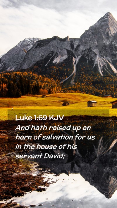 Picture 02 - Luke 1:69 KJV Mobile Phone Wallpaper - And hath raised up an horn of salvation for us in - Mobile Bible Verse Wallpaper