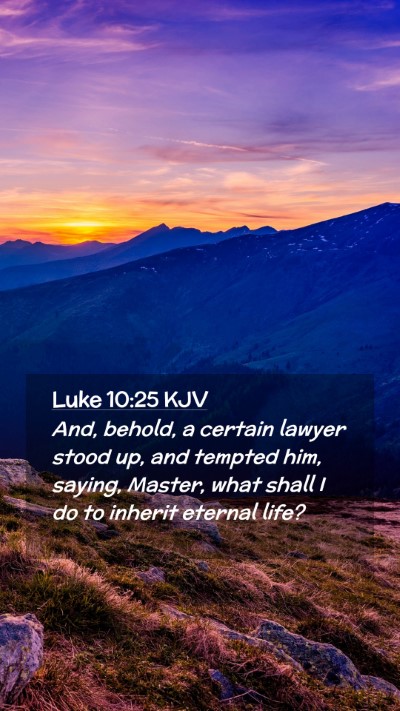 Picture 02 - Luke 10:25 KJV Mobile Phone Wallpaper - And, behold, a certain lawyer stood up, and - Mobile Bible Verse Wallpaper