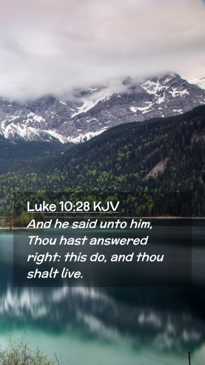 Picture 02 - Luke 10:28 KJV Mobile Phone Wallpaper - And he said unto him, Thou hast answered right: - Mobile Bible Verse Wallpaper