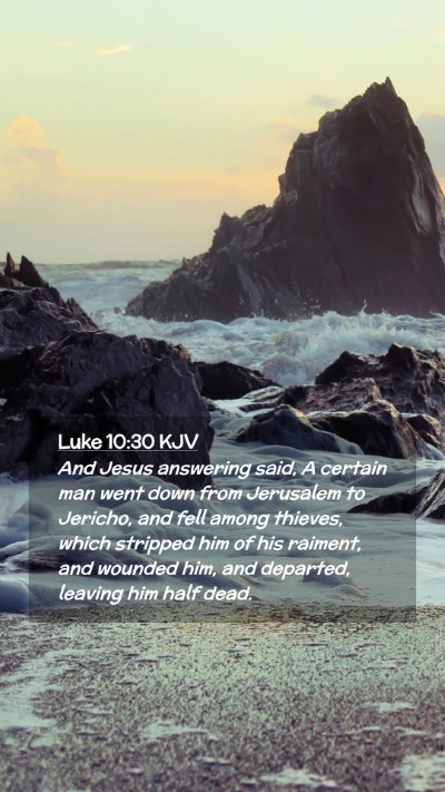 Picture 02 - Luke 10:30 KJV Mobile Phone Wallpaper - And Jesus answering said, A certain man went down - Mobile Bible Verse Wallpaper