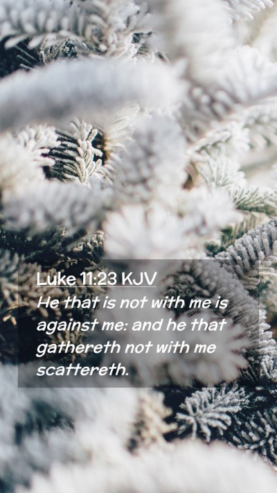 Picture 02 - Luke 11:23 KJV Mobile Phone Wallpaper - He that is not with me is against me: and he that - Mobile Bible Verse Wallpaper