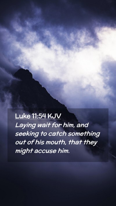 Picture 02 - Luke 11:54 KJV Mobile Phone Wallpaper - Laying wait for him, and seeking to catch - Mobile Bible Verse Wallpaper