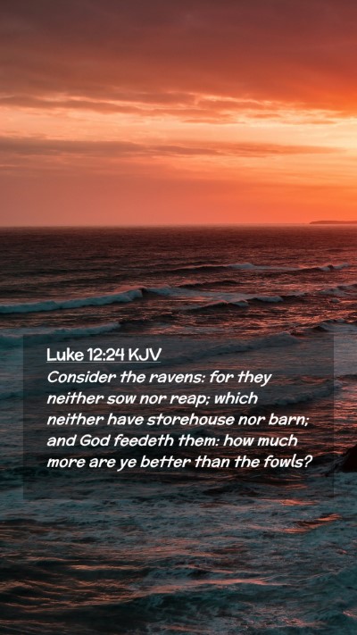 Picture 02 - Luke 12:24 KJV Mobile Phone Wallpaper - Consider the ravens: for they neither sow nor - Mobile Bible Verse Wallpaper