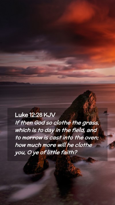 Picture 02 - Luke 12:28 KJV Mobile Phone Wallpaper - If then God so clothe the grass, which is to day - Mobile Bible Verse Wallpaper