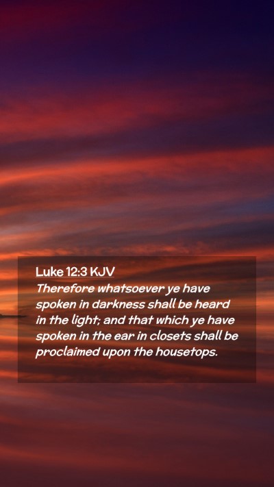 Picture 02 - Luke 12:3 KJV Mobile Phone Wallpaper - Therefore whatsoever ye have spoken in darkness - Mobile Bible Verse Wallpaper