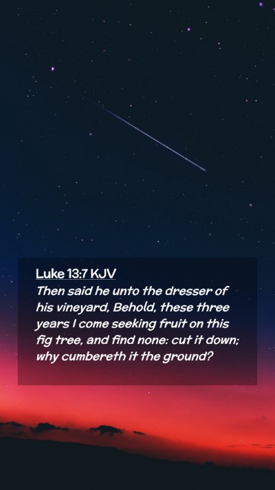 Picture 02 - Luke 13:7 KJV Mobile Phone Wallpaper - Then said he unto the dresser of his vineyard, - Mobile Bible Verse Wallpaper