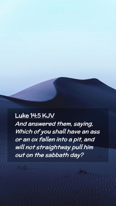 Picture 02 - Luke 14:5 KJV Mobile Phone Wallpaper - And answered them, saying, Which of you shall - Mobile Bible Verse Wallpaper