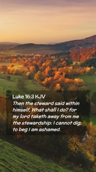 Picture 02 - Luke 16:3 KJV Mobile Phone Wallpaper - Then the steward said within himself, What shall - Mobile Bible Verse Wallpaper