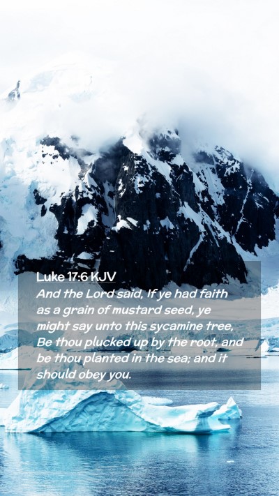 Picture 02 - Luke 17:6 KJV Mobile Phone Wallpaper - And the Lord said, If ye had faith as a grain of - Mobile Bible Verse Wallpaper