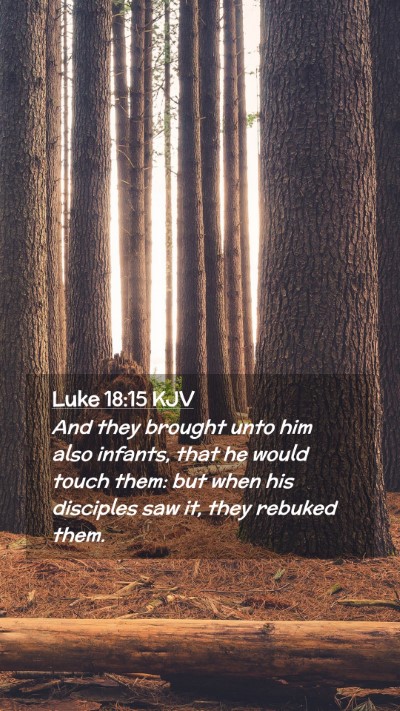 Picture 02 - Luke 18:15 KJV Mobile Phone Wallpaper - And they brought unto him also infants, that he - Mobile Bible Verse Wallpaper