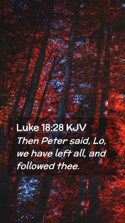 Picture 02 - Luke 18:28 KJV Mobile Phone Wallpaper - Then Peter said, Lo, we have left all, and - Mobile Bible Verse Wallpaper