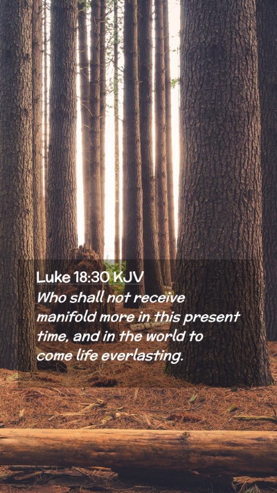 Picture 02 - Luke 18:30 KJV Mobile Phone Wallpaper - Who shall not receive manifold more in this - Mobile Bible Verse Wallpaper