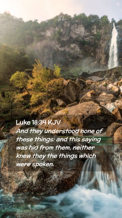 Picture 02 - Luke 18:34 KJV Mobile Phone Wallpaper - And they understood none of these things: and - Mobile Bible Verse Wallpaper