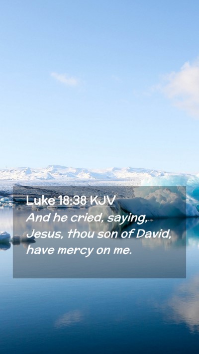 Picture 02 - Luke 18:38 KJV Mobile Phone Wallpaper - And he cried, saying, Jesus, thou son of David, - Mobile Bible Verse Wallpaper