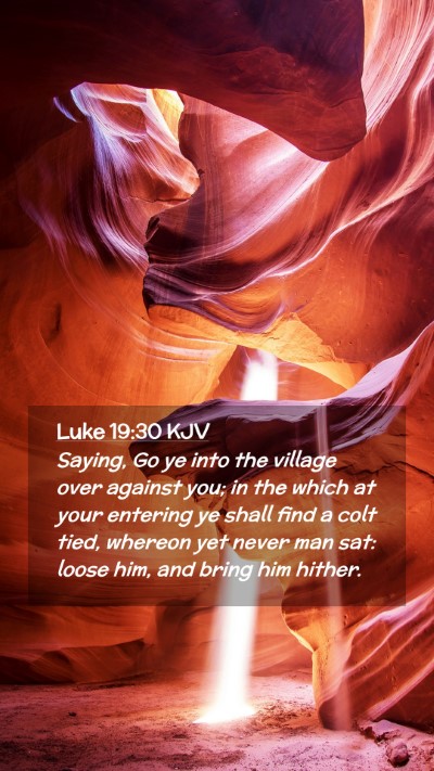 Picture 02 - Luke 19:30 KJV Mobile Phone Wallpaper - Saying, Go ye into the village over against you; - Mobile Bible Verse Wallpaper