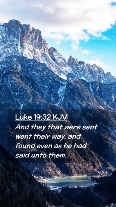 Picture 02 - Luke 19:32 KJV Mobile Phone Wallpaper - And they that were sent went their way, and found - Mobile Bible Verse Wallpaper
