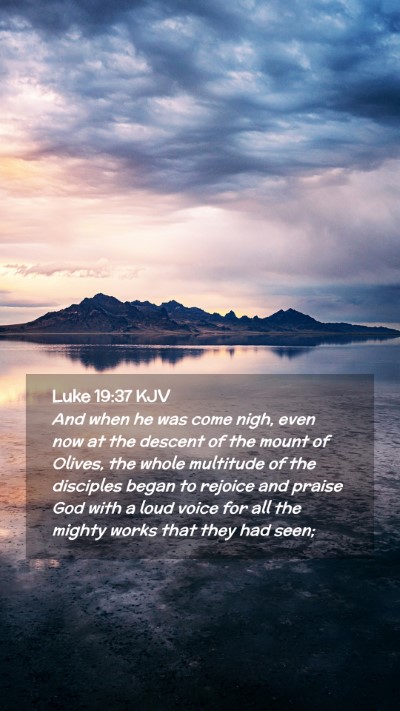 Picture 02 - Luke 19:37 KJV Mobile Phone Wallpaper - And when he was come nigh, even now at the - Mobile Bible Verse Wallpaper