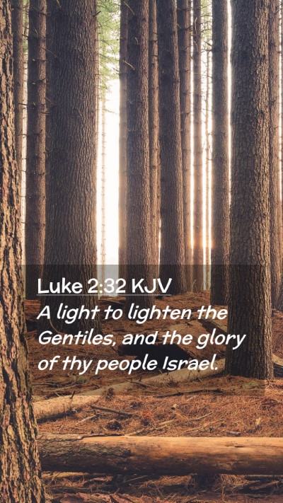 Picture 02 - Luke 2:32 KJV Mobile Phone Wallpaper - A light to lighten the Gentiles, and the glory of - Mobile Bible Verse Wallpaper