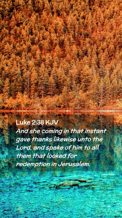 Picture 02 - Luke 2:38 KJV Mobile Phone Wallpaper - And she coming in that instant gave thanks - Mobile Bible Verse Wallpaper