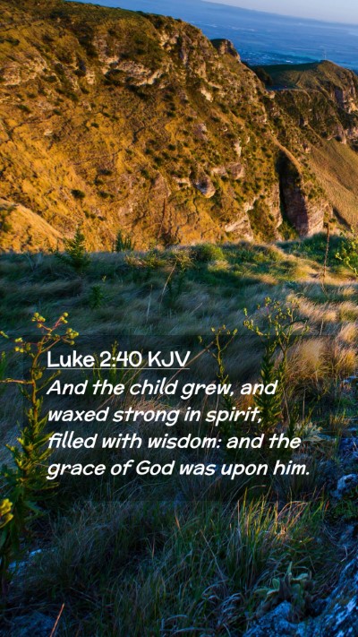 Picture 02 - Luke 2:40 KJV Mobile Phone Wallpaper - And the child grew, and waxed strong in spirit, - Mobile Bible Verse Wallpaper