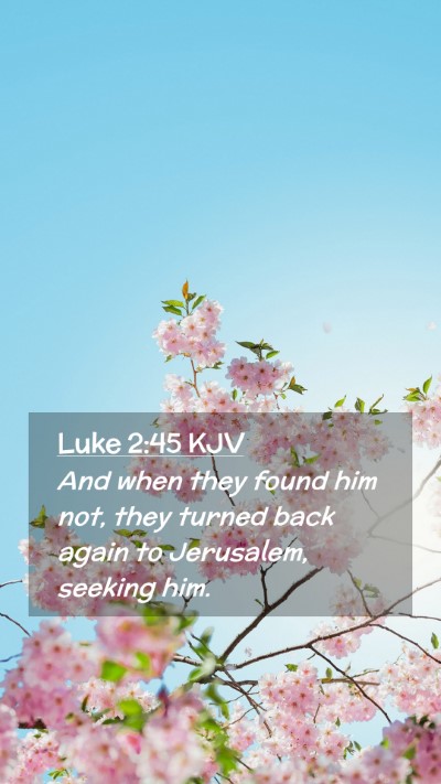 Picture 02 - Luke 2:45 KJV Mobile Phone Wallpaper - And when they found him not, they turned back - Mobile Bible Verse Wallpaper