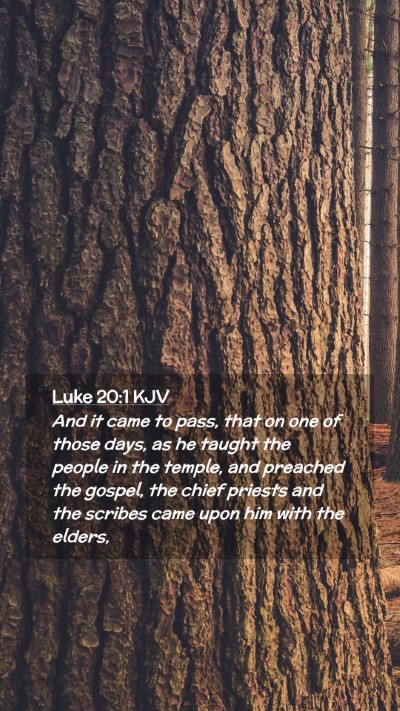 Picture 02 - Luke 20:1 KJV Mobile Phone Wallpaper - And it came to pass, that on one of those days, - Mobile Bible Verse Wallpaper