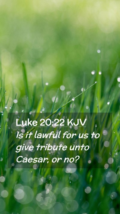 Picture 02 - Luke 20:22 KJV Mobile Phone Wallpaper - Is it lawful for us to give tribute unto Caesar, - Mobile Bible Verse Wallpaper