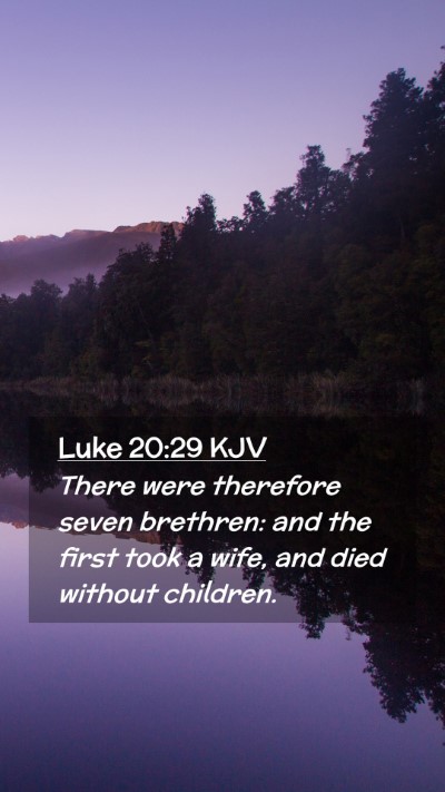 Picture 02 - Luke 20:29 KJV Mobile Phone Wallpaper - There were therefore seven brethren: and the - Mobile Bible Verse Wallpaper