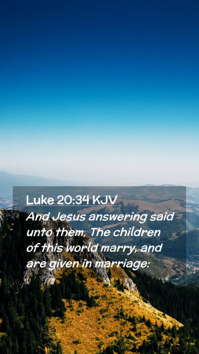 Picture 02 - Luke 20:34 KJV Mobile Phone Wallpaper - And Jesus answering said unto them, The children - Mobile Bible Verse Wallpaper