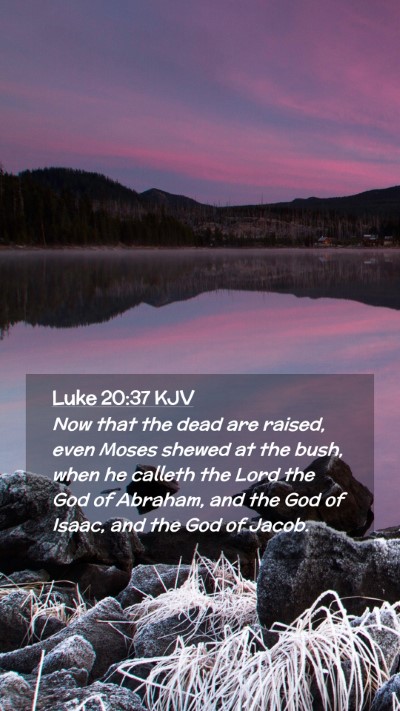 Picture 02 - Luke 20:37 KJV Mobile Phone Wallpaper - Now that the dead are raised, even Moses shewed - Mobile Bible Verse Wallpaper