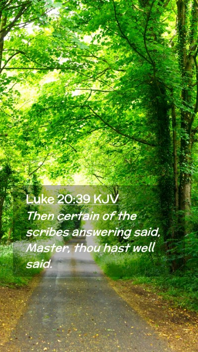 Picture 02 - Luke 20:39 KJV Mobile Phone Wallpaper - Then certain of the scribes answering said, - Mobile Bible Verse Wallpaper