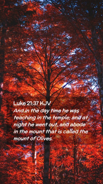 Picture 02 - Luke 21:37 KJV Mobile Phone Wallpaper - And in the day time he was teaching in the - Mobile Bible Verse Wallpaper