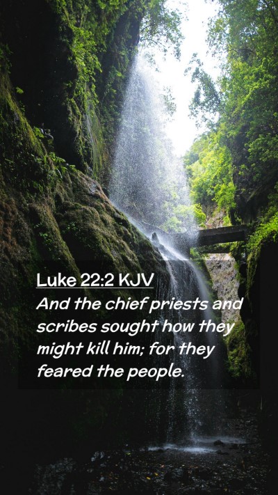 Picture 02 - Luke 22:2 KJV Mobile Phone Wallpaper - And the chief priests and scribes sought how they - Mobile Bible Verse Wallpaper