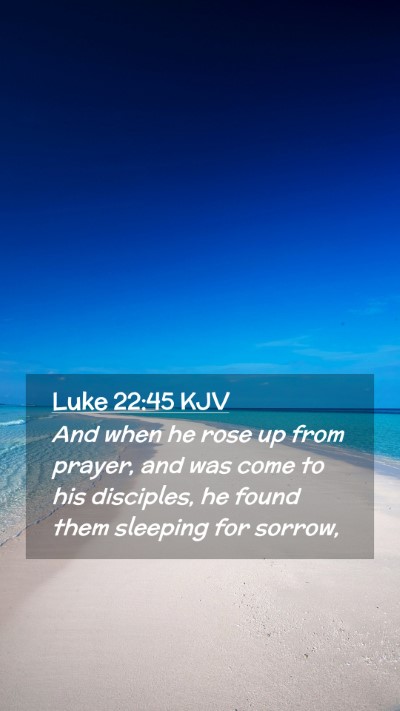 Picture 02 - Luke 22:45 KJV Mobile Phone Wallpaper - And when he rose up from prayer, and was come to - Mobile Bible Verse Wallpaper