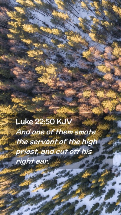 Picture 02 - Luke 22:50 KJV Mobile Phone Wallpaper - And one of them smote the servant of the high - Mobile Bible Verse Wallpaper