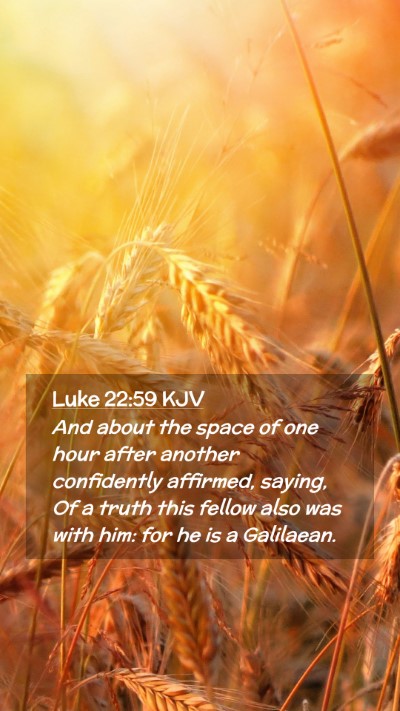 Picture 02 - Luke 22:59 KJV Mobile Phone Wallpaper - And about the space of one hour after another - Mobile Bible Verse Wallpaper