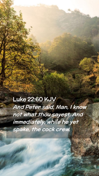 Picture 02 - Luke 22:60 KJV Mobile Phone Wallpaper - And Peter said, Man, I know not what thou sayest. - Mobile Bible Verse Wallpaper