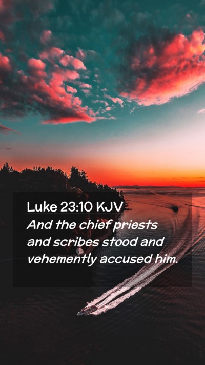 Picture 02 - Luke 23:10 KJV Mobile Phone Wallpaper - And the chief priests and scribes stood and - Mobile Bible Verse Wallpaper