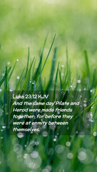 Picture 02 - Luke 23:12 KJV Mobile Phone Wallpaper - And the same day Pilate and Herod were made - Mobile Bible Verse Wallpaper