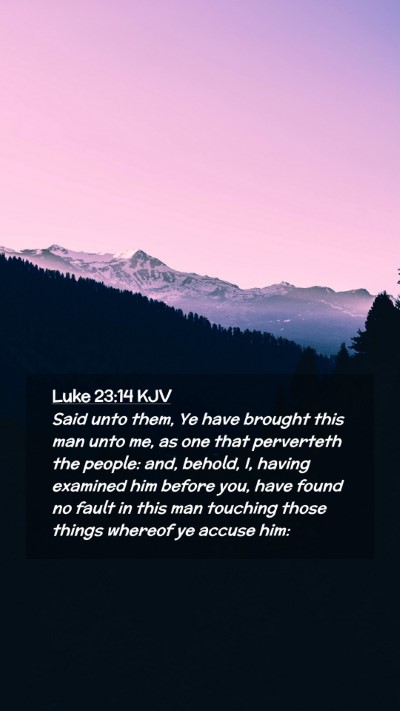 Picture 02 - Luke 23:14 KJV Mobile Phone Wallpaper - Said unto them, Ye have brought this man unto me, - Mobile Bible Verse Wallpaper