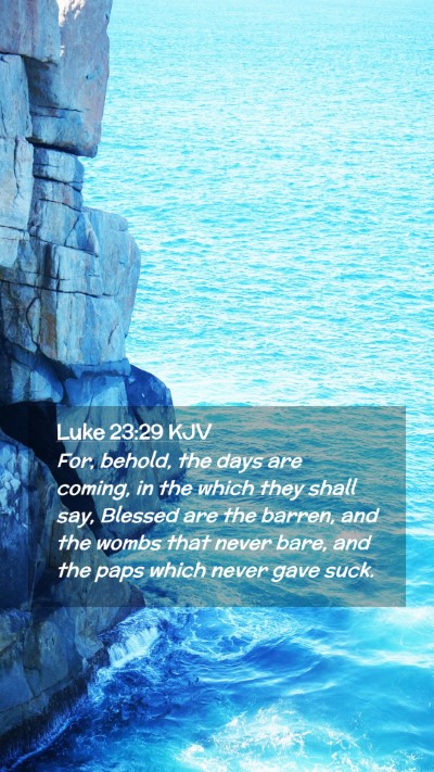 Picture 02 - Luke 23:29 KJV Mobile Phone Wallpaper - For, behold, the days are coming, in the which - Mobile Bible Verse Wallpaper