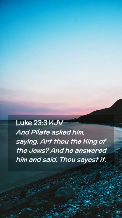 Picture 02 - Luke 23:3 KJV Mobile Phone Wallpaper - And Pilate asked him, saying, Art thou the King - Mobile Bible Verse Wallpaper