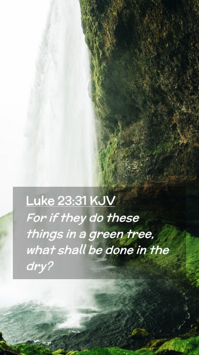 Picture 02 - Luke 23:31 KJV Mobile Phone Wallpaper - For if they do these things in a green tree, what - Mobile Bible Verse Wallpaper